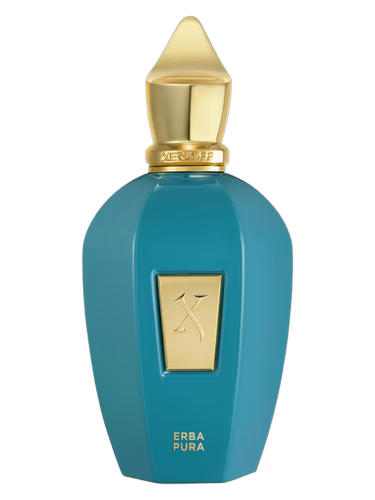 No.3002 Tendencia a Xerjoff / ERBA PURA 60ml