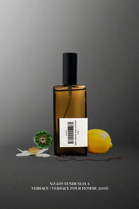 No.489 Tendencia a Versace / VERSACE POUR HOMME 2008 60 ml