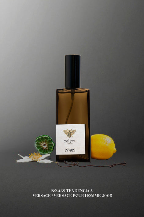 No.489 Tendencia a Versace / VERSACE POUR HOMME 2008 60 ml