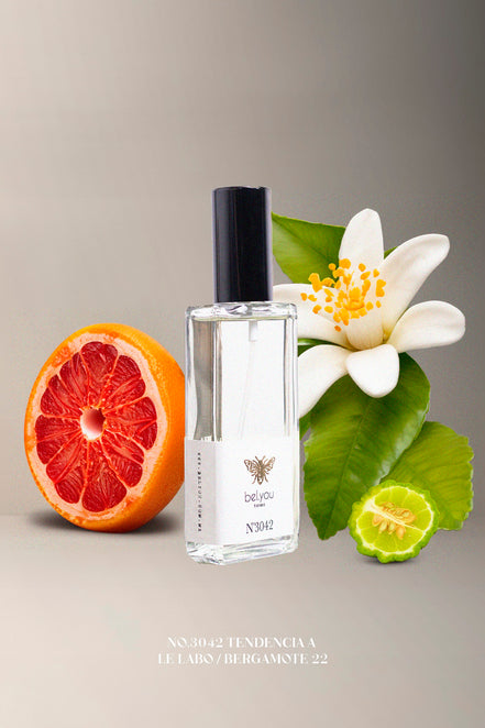 No.3042 Tendencia a Le Labo / BERGAMOTE 22 60 ml