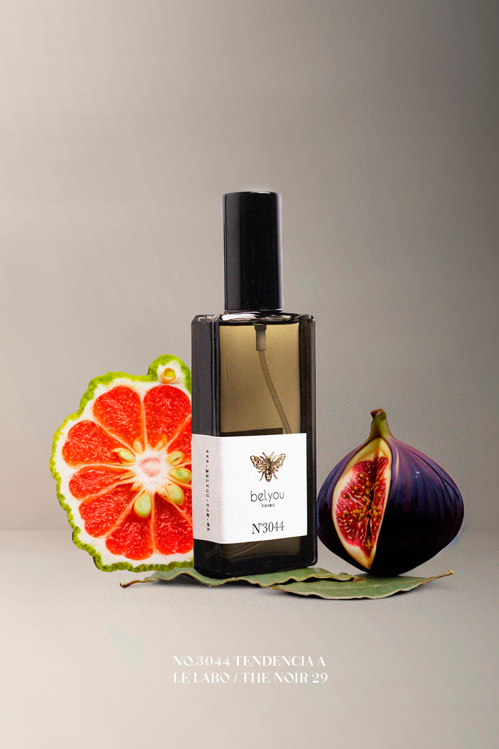 No.3044 Tendencia a Le Labo / THE NOIR 29