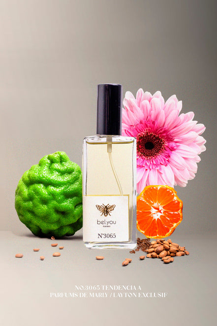 No.3065 Tendencia a Parfums de Marly / LAYTON EXCLUSIF 60 ml