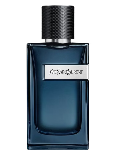 No.495 Tendencia a Yves Saint Laurent / Y 60 ml
